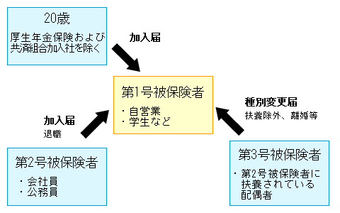 年金の届出イメージ