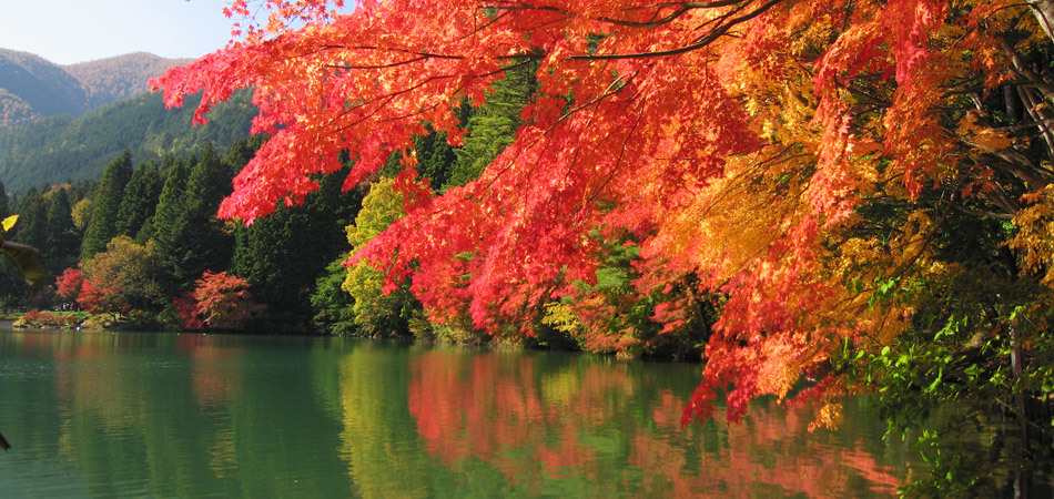 伊奈ヶ湖の紅葉