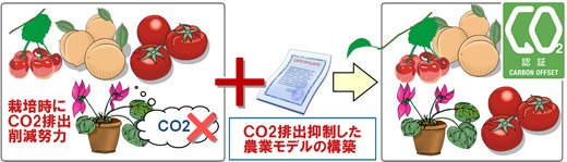 栽培時にCO2排出削減努力＋CO2排出抑制した農業モデルの構築→環境付加価値の付いた農産物としてブランド化