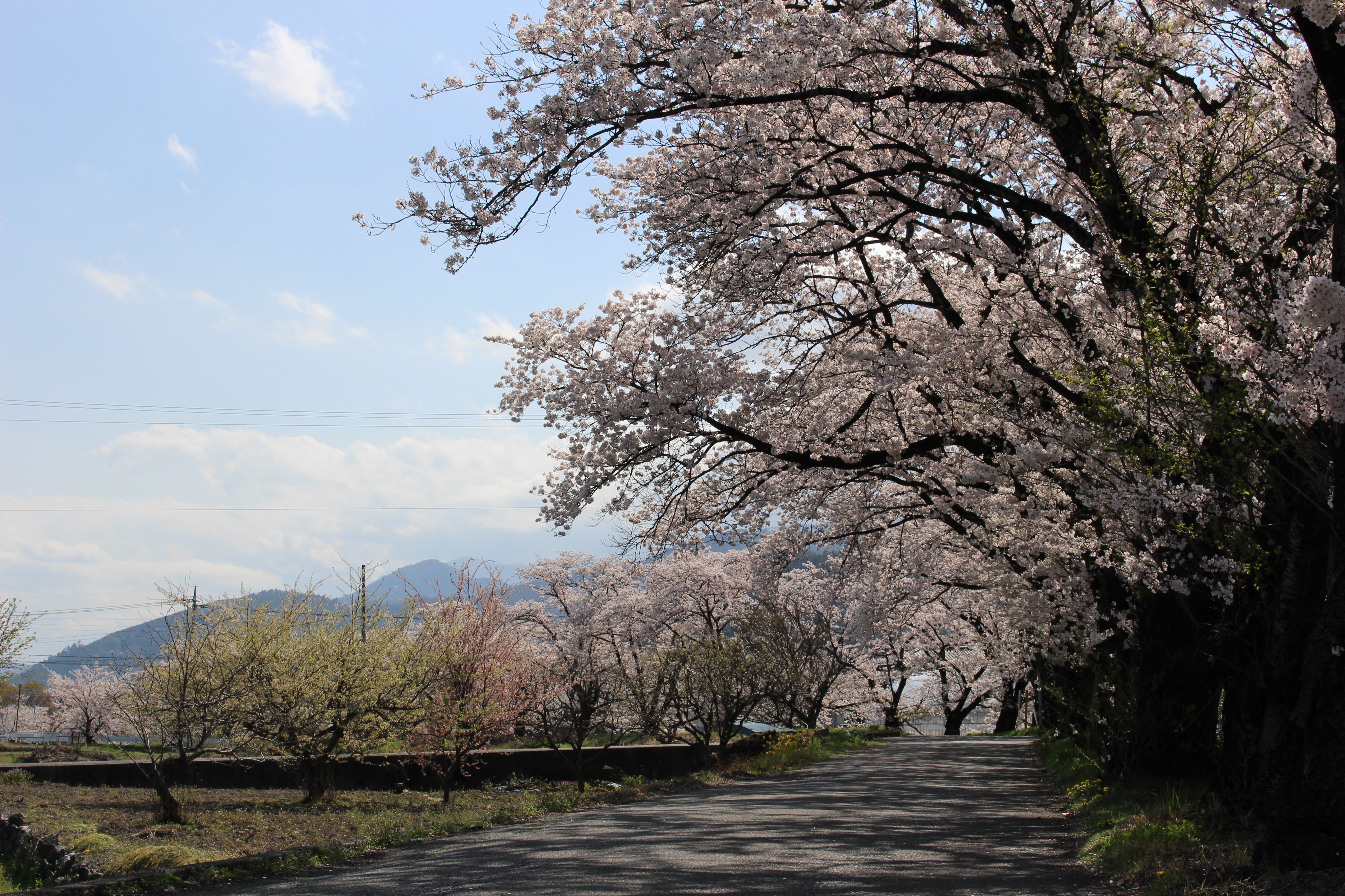 お気に入りの風景　おしえてください！イメージ写真