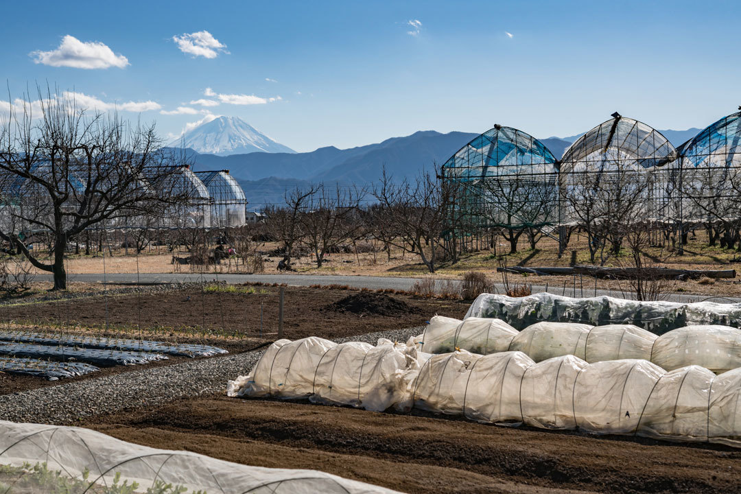 Vol 1 自然の中でのんびり豊かに 山梨県 南アルプス市 自然と文化が調和した幸せ創造都市
