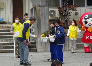 櫛北花.jpg