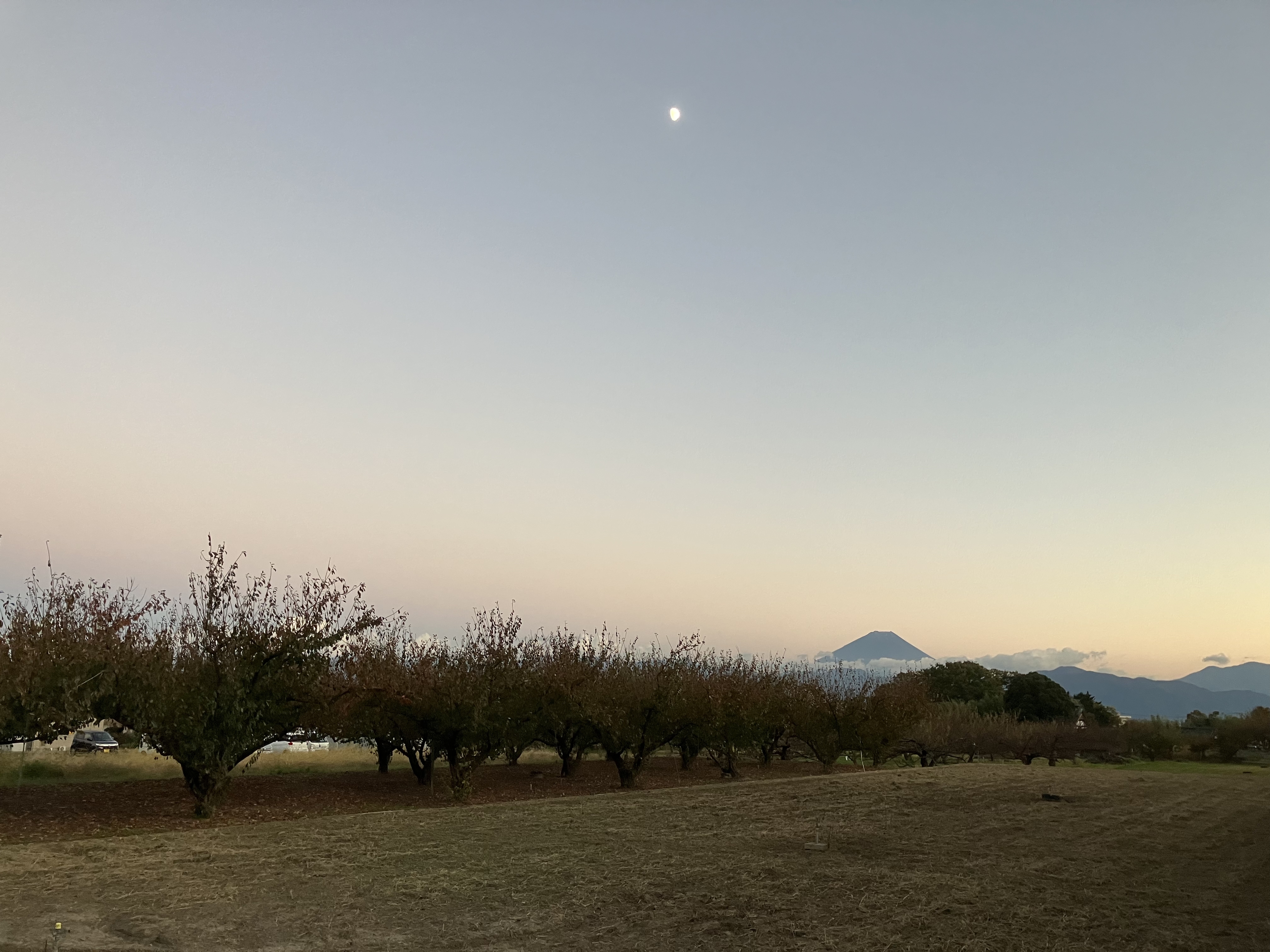 70夕方の富士山.JPG