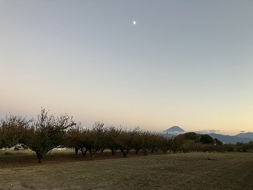 70夕方の富士山.JPG