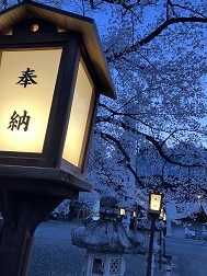 76今年も妙了寺.jpg