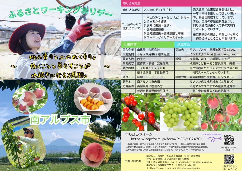 ふるさとワーキングホリデー両面.png