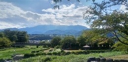 80夏の櫛形山を涼む.jpg