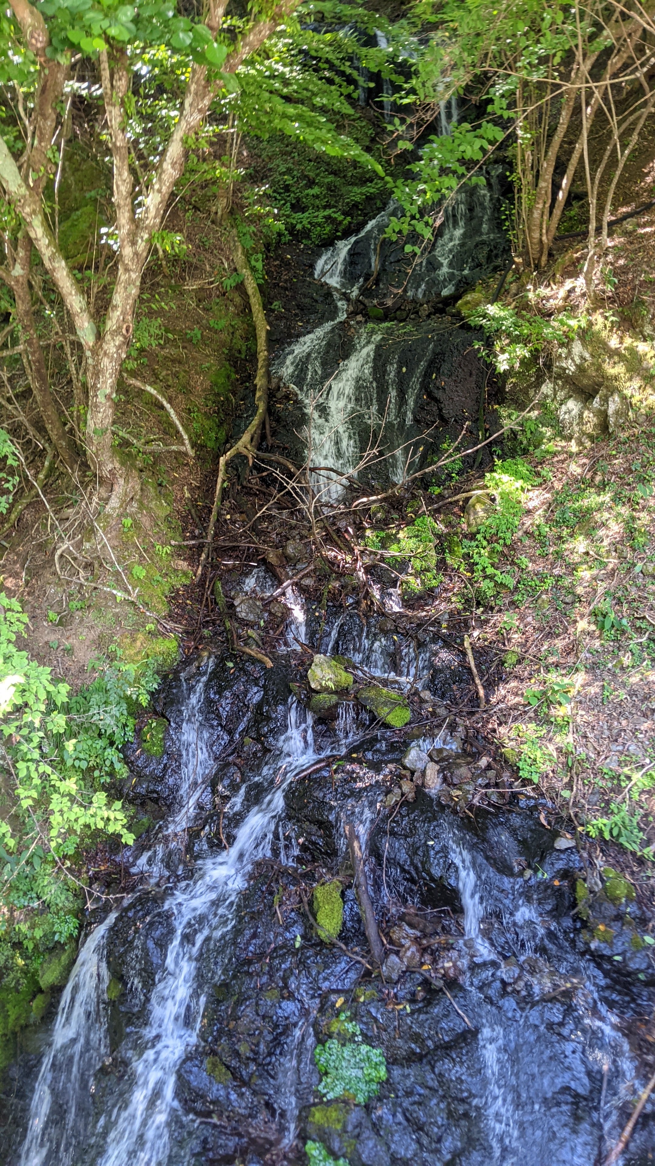 83橋の山側にあった無名_の滝.jpg