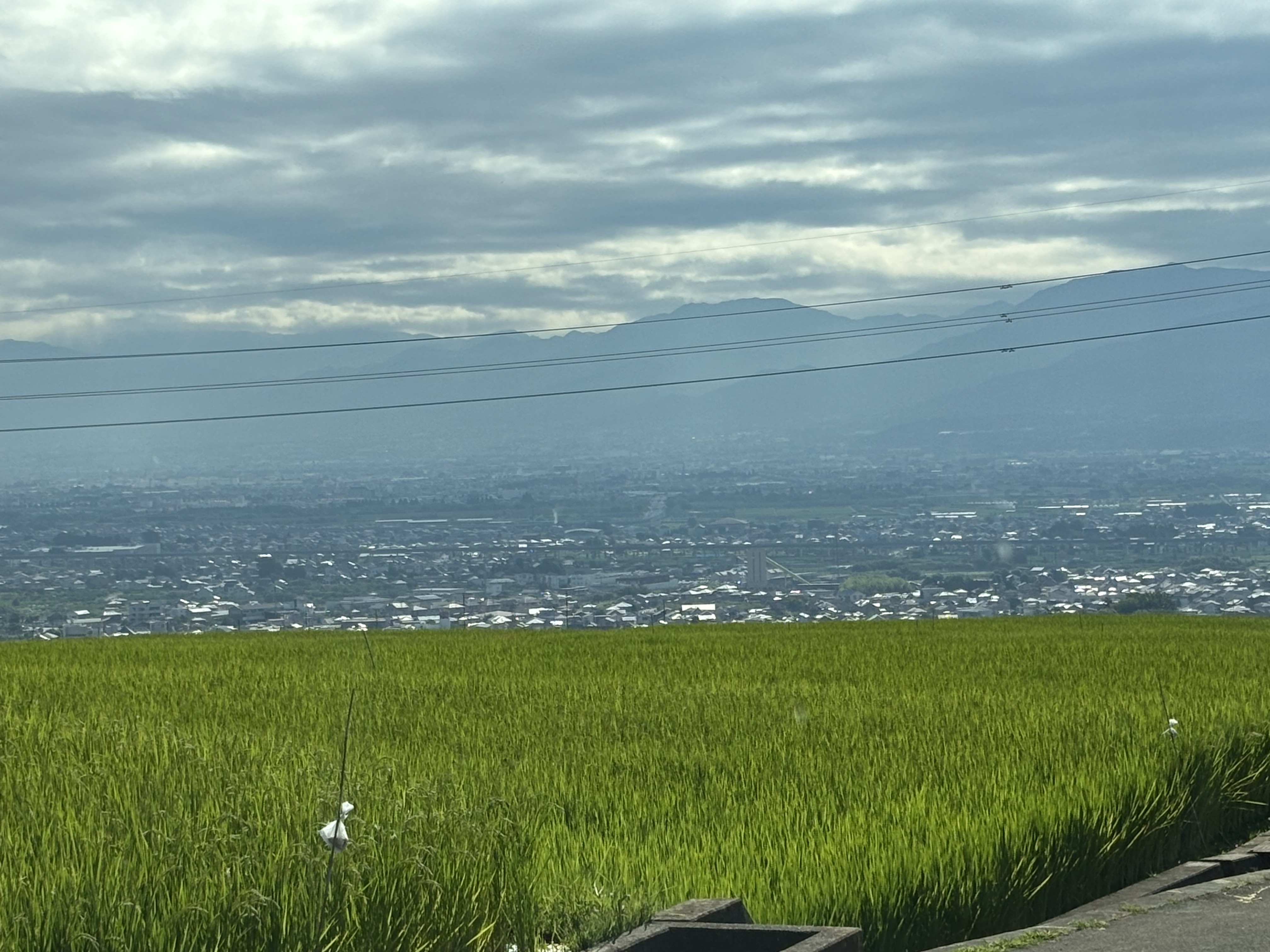 84緑の絨毯と絶景.jpg