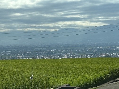 84緑の絨毯と絶景.jpg