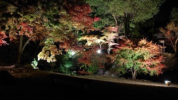 紅葉70.jpg