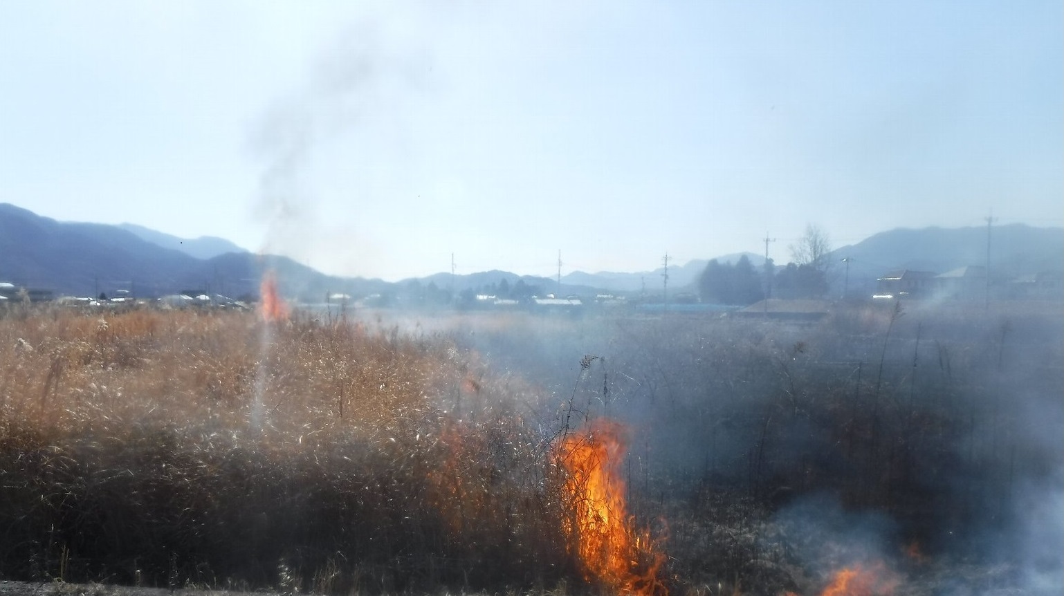 写真1 コピー.JPG