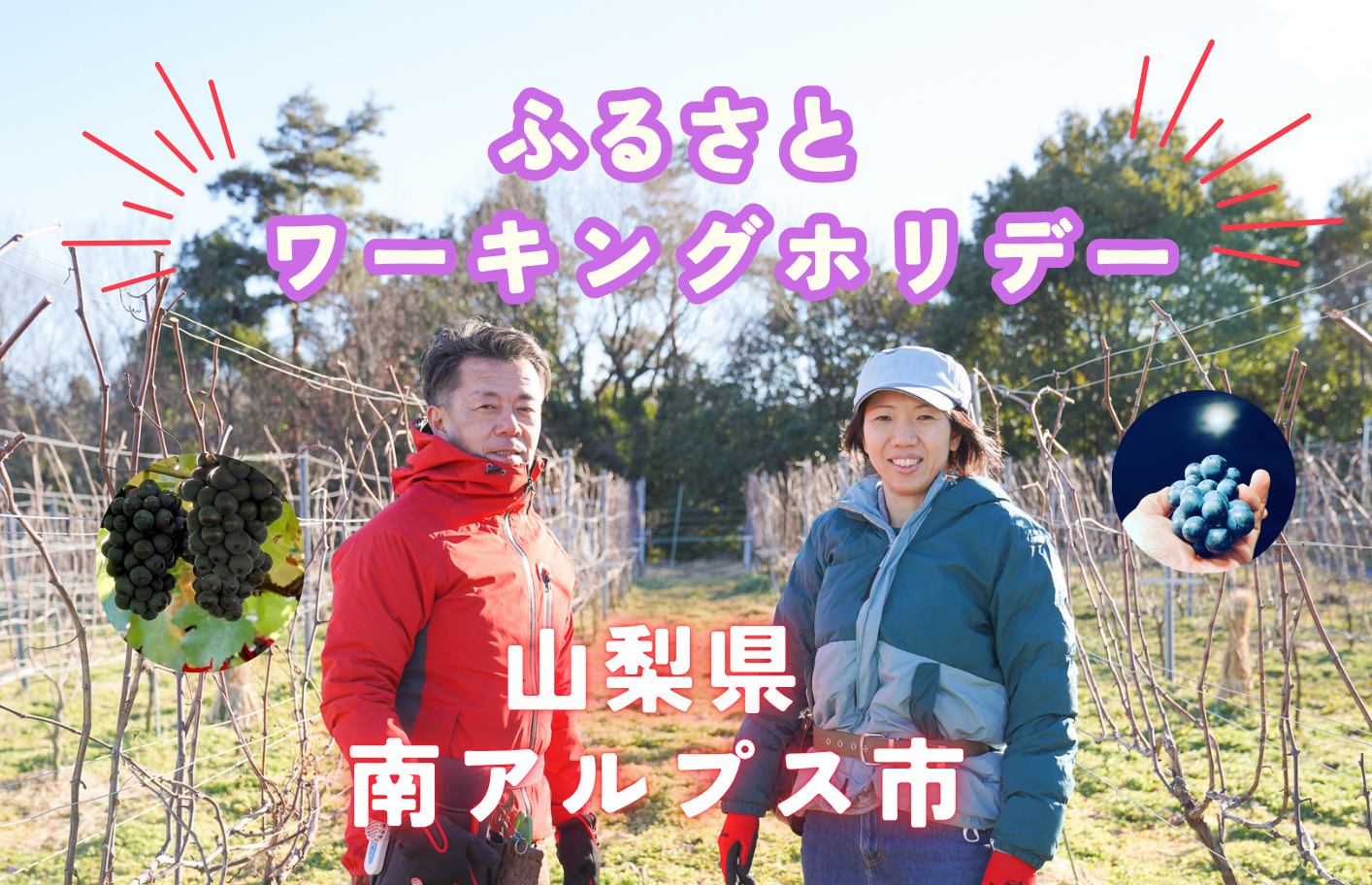 令和８年度南アルプス市ふるさとワーキングホリデー『ドメーヌヒデ／月晴れる』