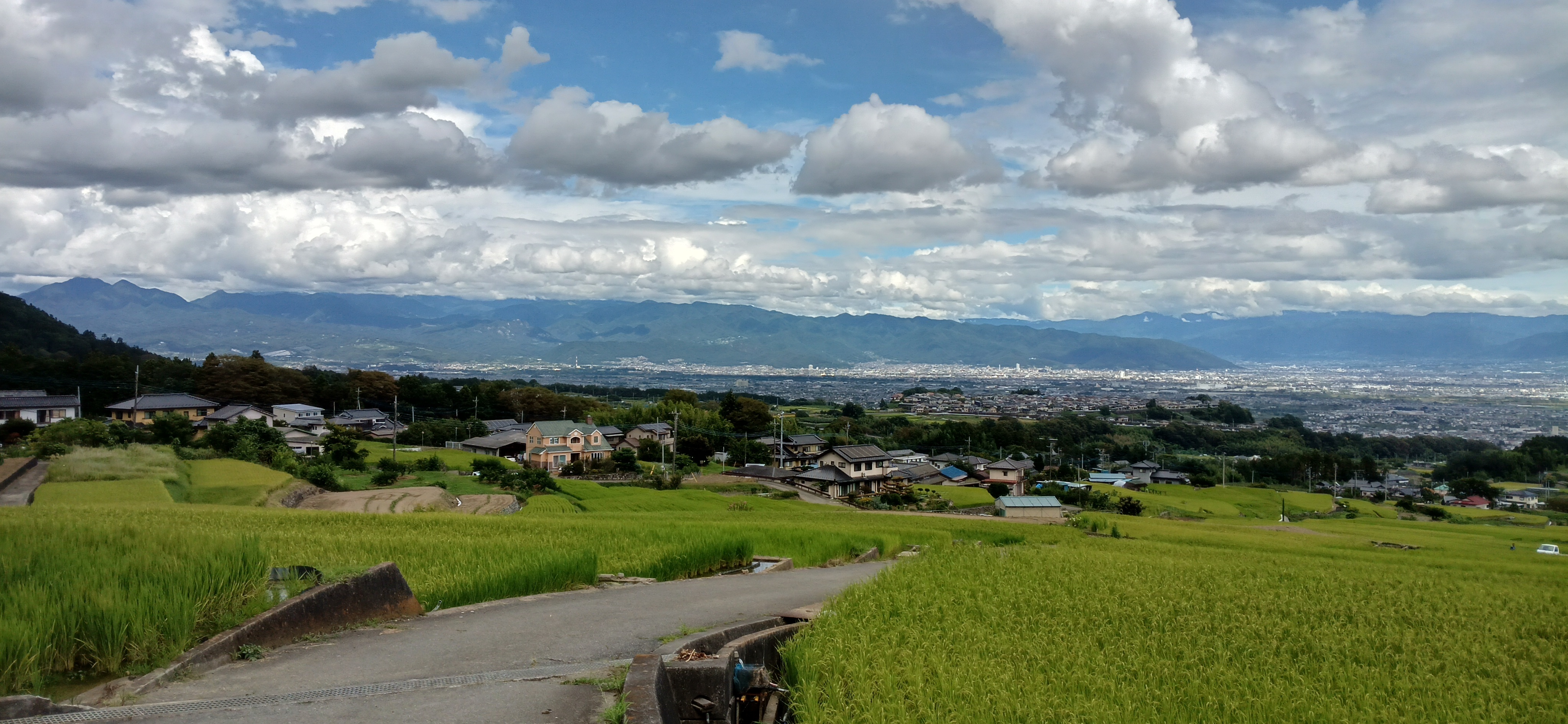 91棚田と南アルプス市の夏.jpg