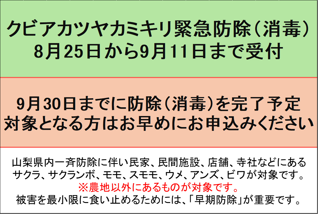 特定外来生物「クビアカツヤカミキリ」から市内の樹木を守るために、防除(消毒)を実施します！！