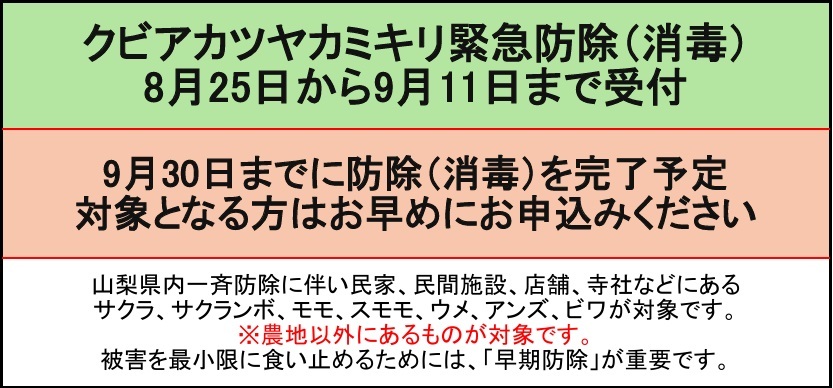 特定外来生物「クビアカツヤカミキリ」から市内の樹木を守るために、防除(消毒)を実施します！！