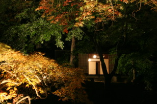 安藤家09.JPG