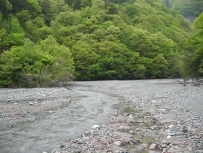 集水地から見た上流の写真