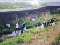 河川清掃の様子4