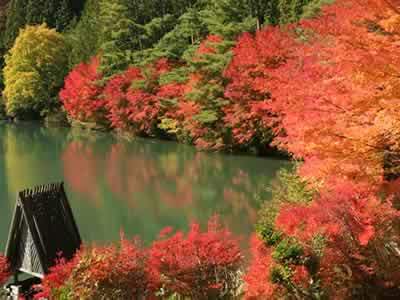 伊奈ヶ湖の紅葉