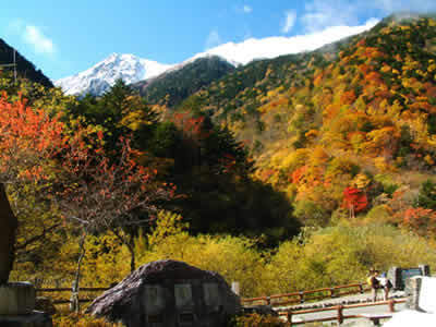 白鳳渓谷の紅葉イメージ
