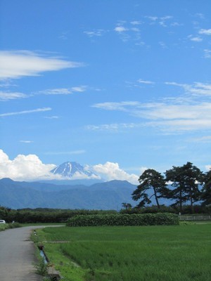 上高砂堤防松並木周辺から見える富士山