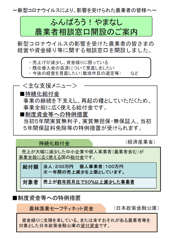 山梨 県 コロナ ウイルス 感染 者