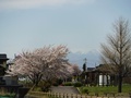 (3)下高砂農村公園(下高砂宮東地区)の桜と八ヶ岳