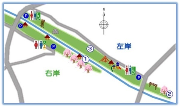秋山川すももの郷公園(落合1906)の桜スポット3箇所