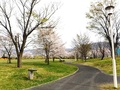 甲西ふれあい公園（西南湖1299-1）の園路