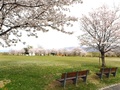 甲西ふれあい公園(西南湖1299-1)でベンチに座りながら