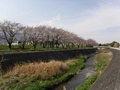 坪川公園(落合209-2～川上480-5)の左岸から右岸