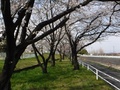 坪川公園(落合209-2～川上480-5)のちょっとしたスペース