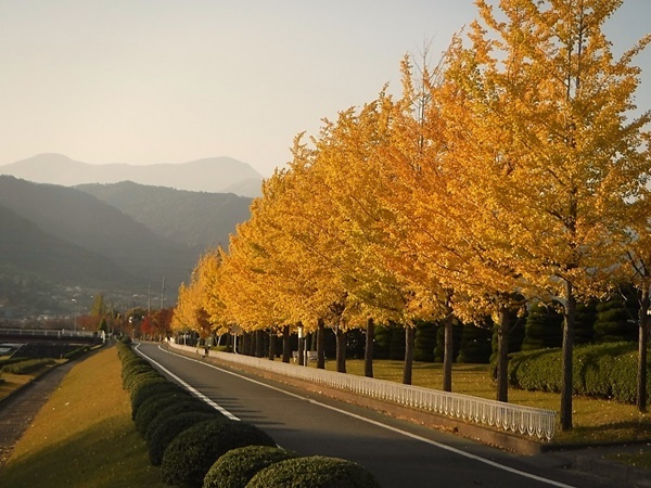 秋の公園を楽しもう - 山梨県 南アルプス市 -人がつどい 次世代に
