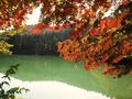 北伊奈ヶ湖水辺公園4、湖を囲む木の紅葉写真