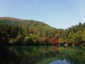 北伊奈ヶ湖水辺公園1、手前に湖、森があり、奥に山が映る写真