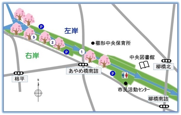 滝沢川公園(小笠原)の桜スポット3箇所
