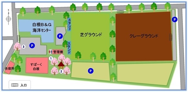 白根中央公園(百々3468-65)の桜スポット3箇所