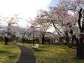 (2)白根中央児童公園(飯野2777-1)の園路