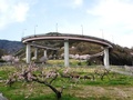 (1)桃花橋公園(曲輪田新田657番地先)の桃花橋と桜