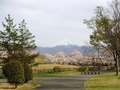 (1)遊・湯ふれあい公園(鏡中條3782)の富士山と桜
